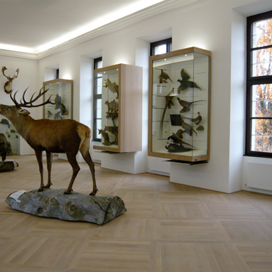 jagdmuseum schloss hohenbrunn